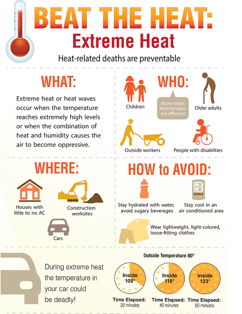 beat the heat infographic